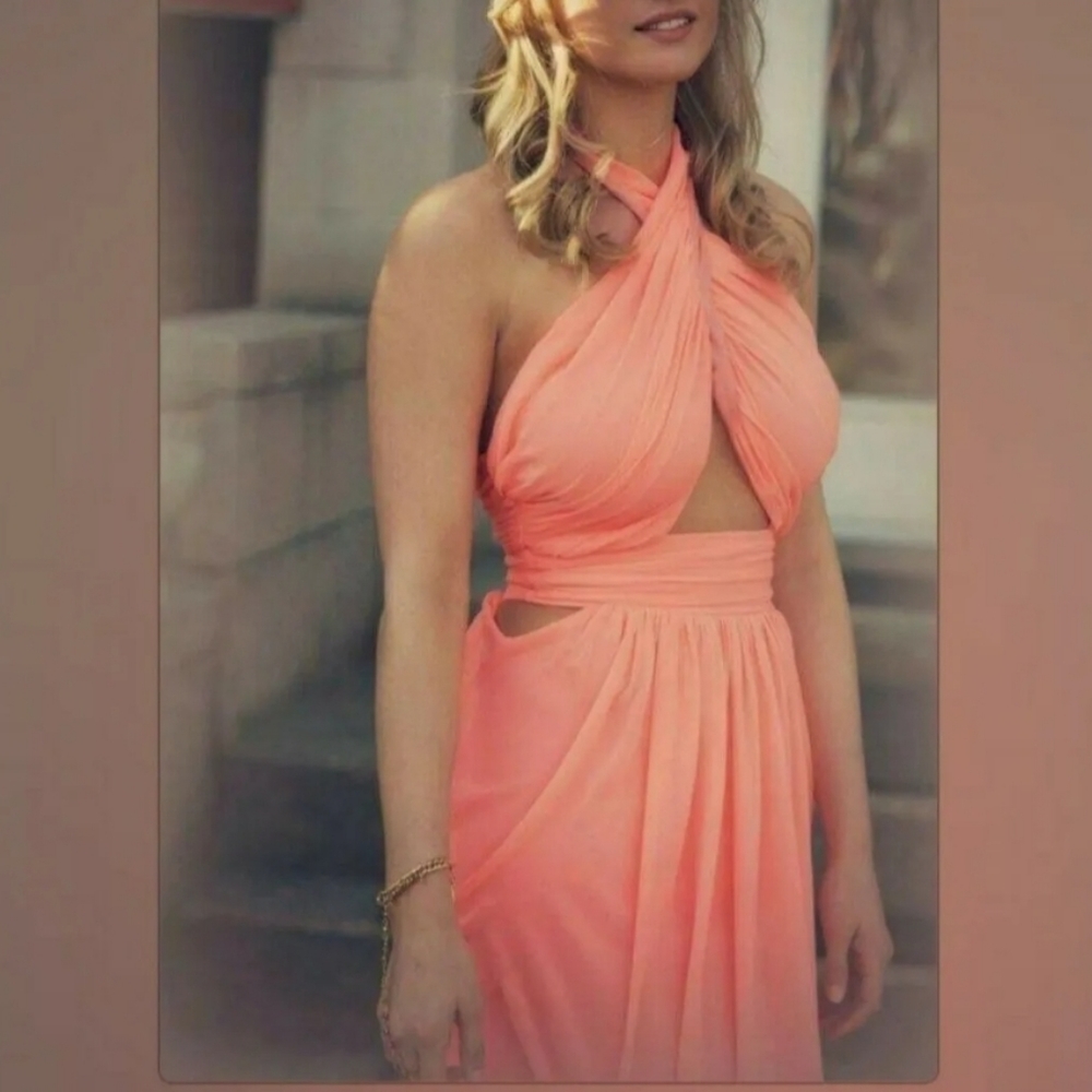 Gorgeous Peach Saboskirt Gala Dress
